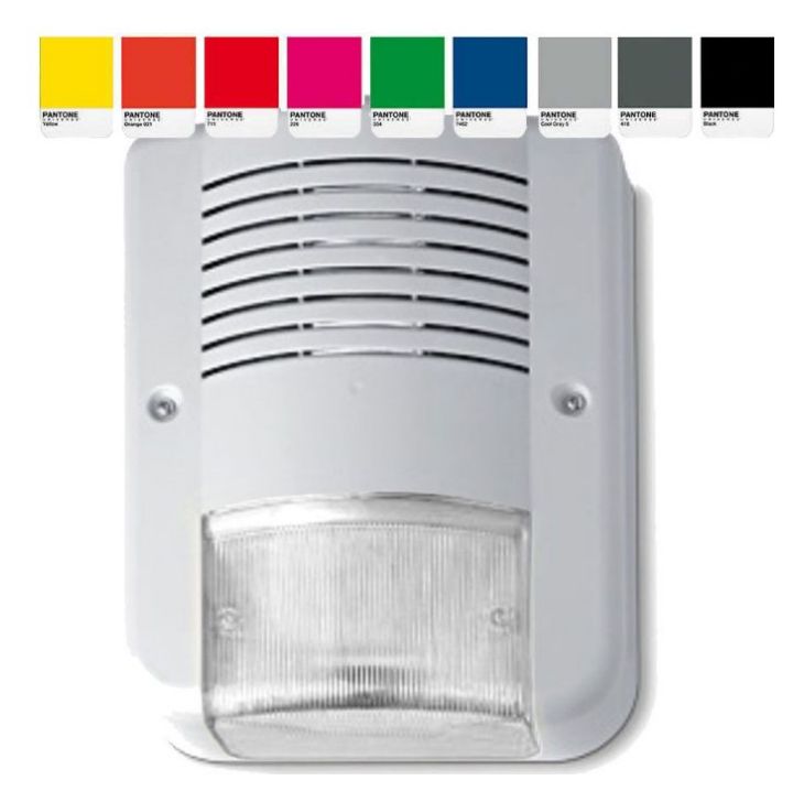 avscityledpluscustom